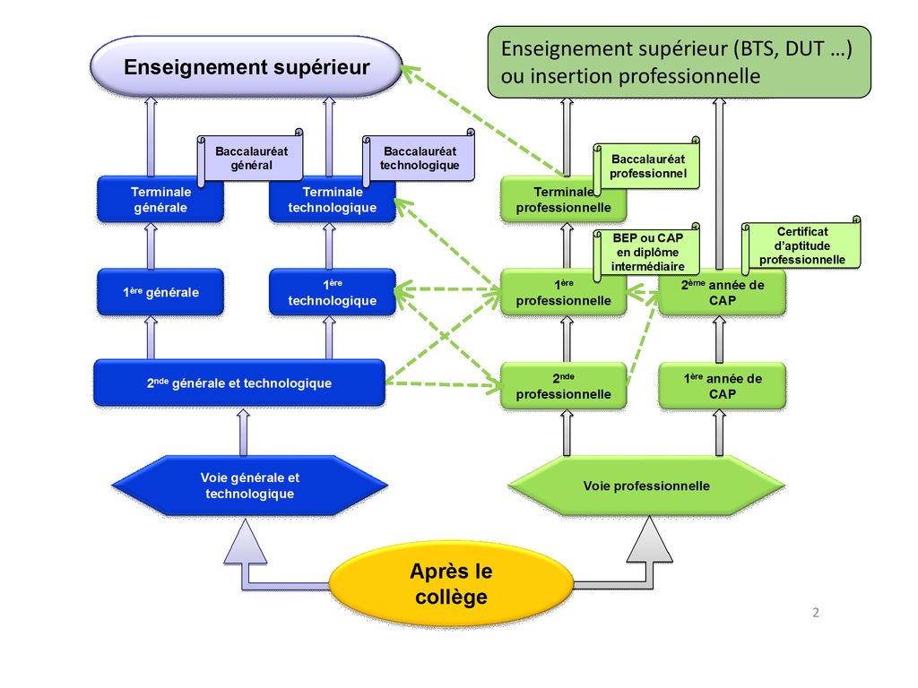 Les Voies De Formation Apr S La Troisi Me Ppt T L Charger